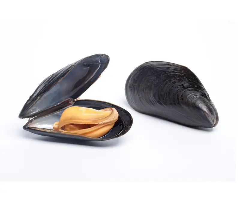 Midii Scoici Negre Pasteurizate 1kg