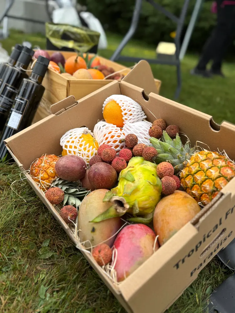 Mix Tropical Fruit - Via Transilvanica