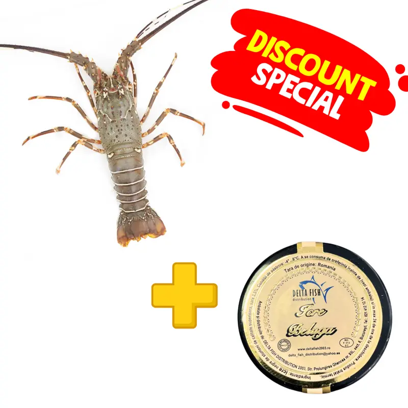 Pachet Imperial – Langusta Cuba & Caviar Beluga