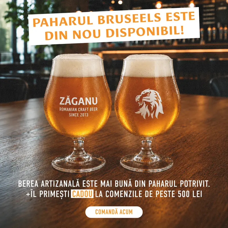 Pahar tasting Zăganu Brussels 300 ml