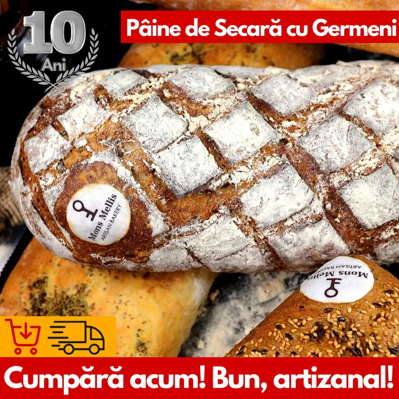 Pâine de Secară cu Germeni