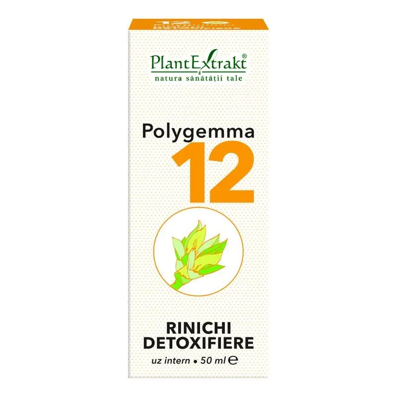 Polygemma 12 Rinichi detoxifiere 50 ml – Plantextrakt