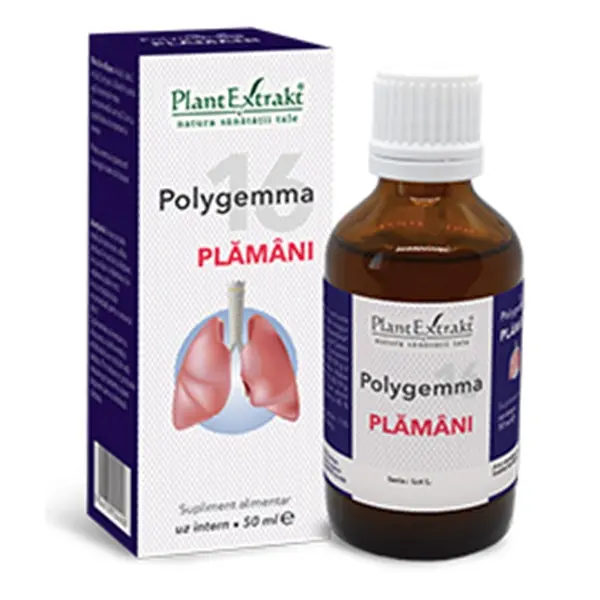 Polygemma 16 Plămâni 50 ml – Plantextrakt - Respirație ușoară