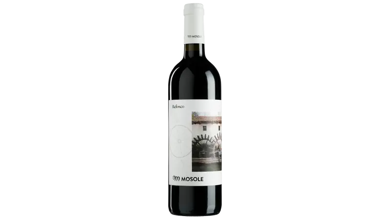 Refosco DOC Venezia 2023 — Tenuta Mosole