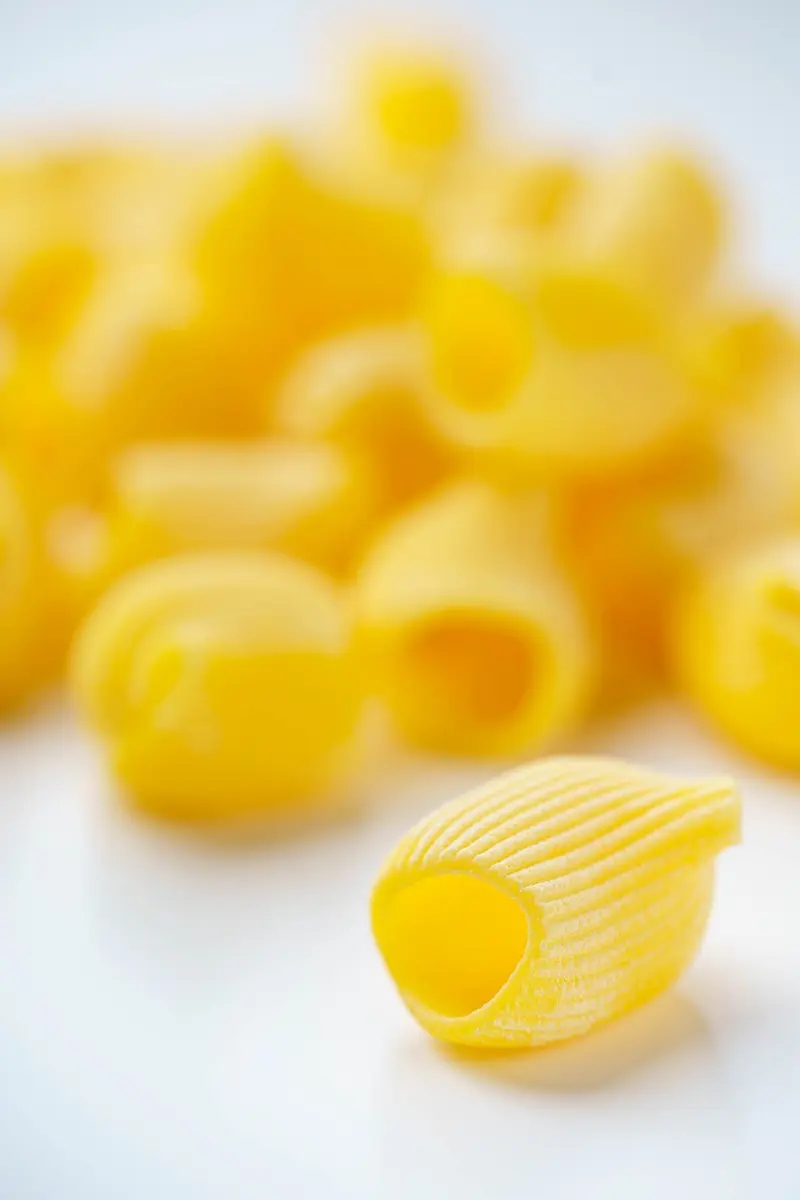 Rigatoni | 4 portii - 500 gr.