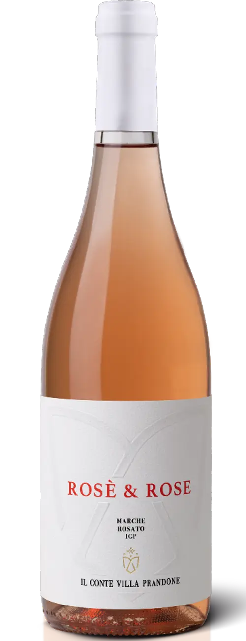 Rose Marche Rosato IGP