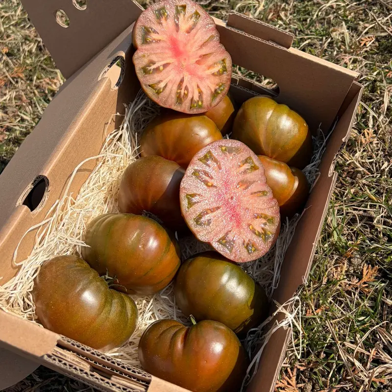Roșii Marmande