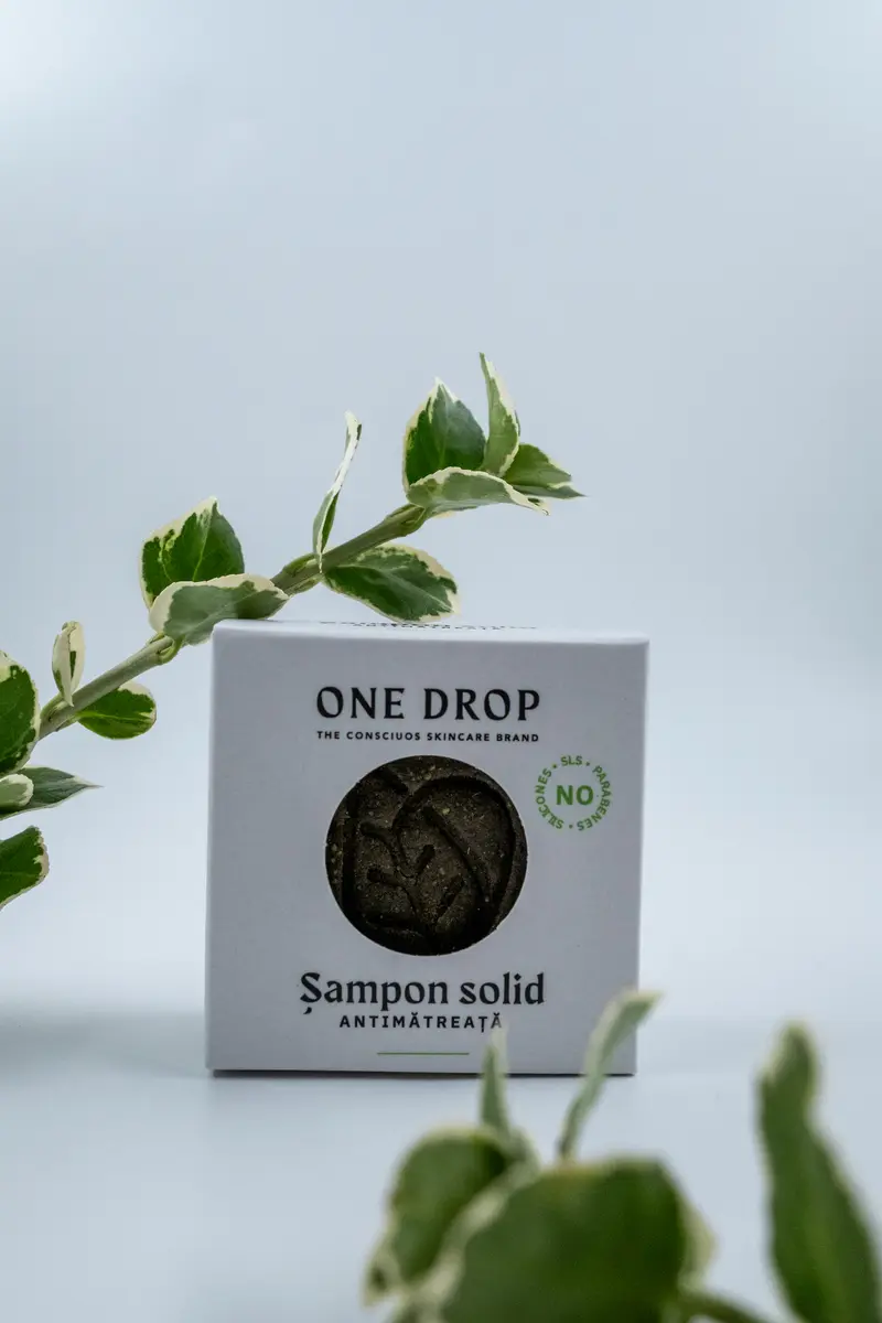 Șampon solid pentru păr gras