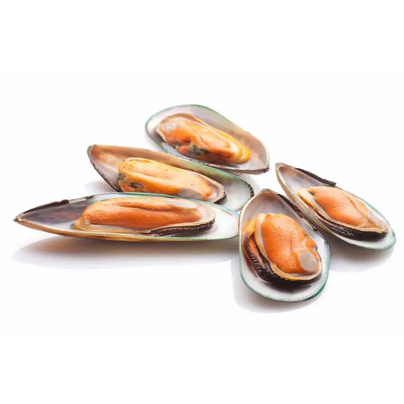 Scoici Verzi Noua Zeelanda 1KG