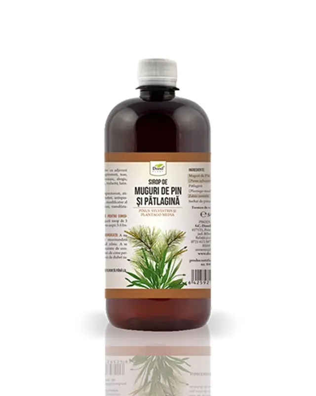 Sirop de muguri de pin și pătlagină 500 ml – Dorel Plant