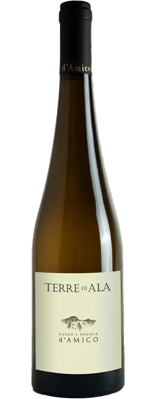 Terre di Ala IGP Semillon - Sauvignon Blanc