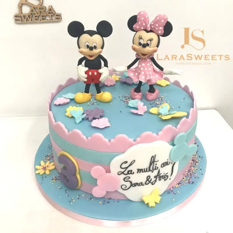 Tort Minnie & Mickey