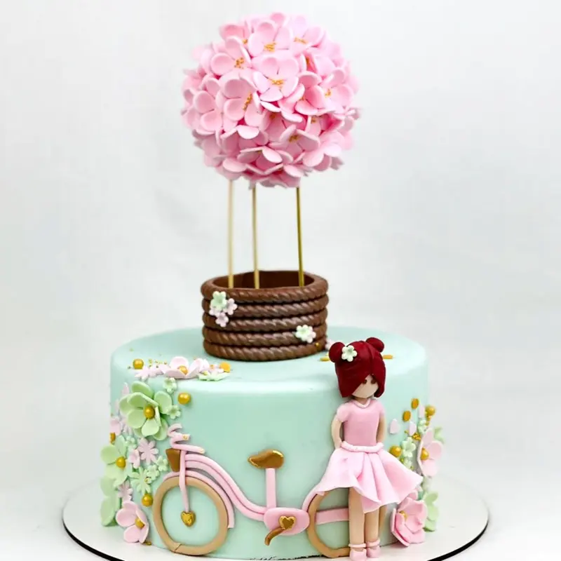 Tort Pink Bicycle