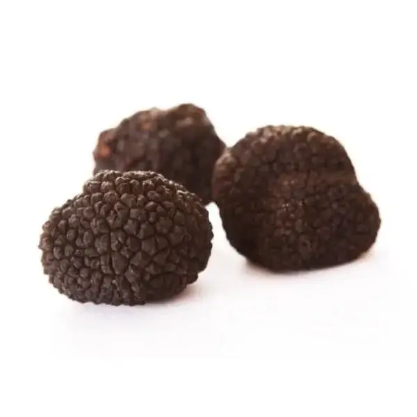Trufe proaspete 1Kg Transylvania's Finest Foods
