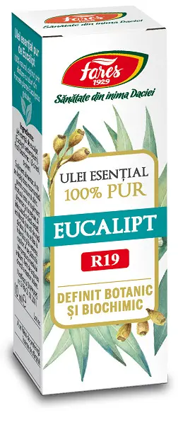 Ulei esențial de eucalipt R19 10 ml – Fares